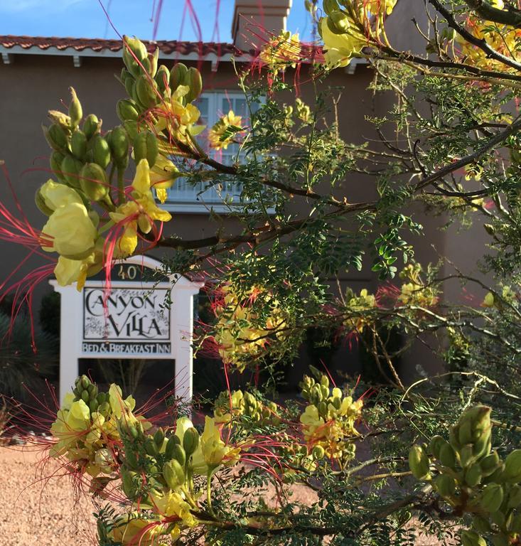 Canyon Villa Bed & Breakfast Inn Of Sedona Dış mekan fotoğraf